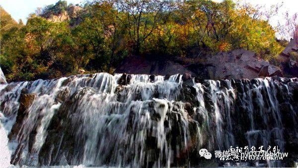 火影作者岸本齐史最新签绘，新角色出现，网友：鸣人生三胎了？
